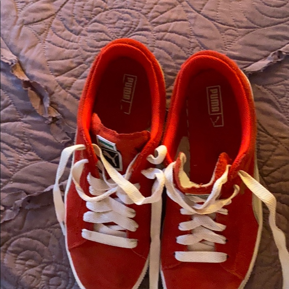 Red pumas - Picture 4 of 7
